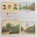 Flashcard học từ vựng tiếng Anh