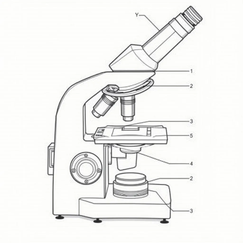 Các bộ phận của kính hiển vi